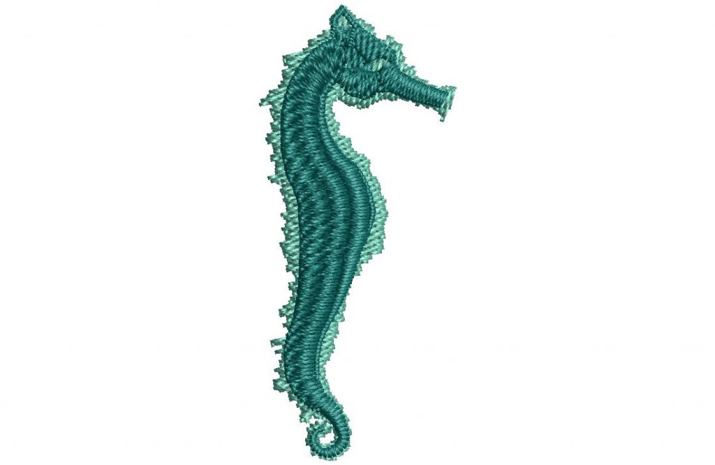 Sea Horse