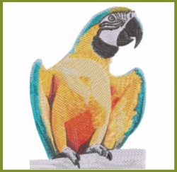 Parrot Multicolor