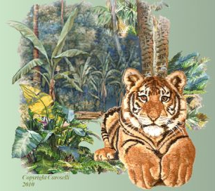 Balboa Blending and Shading - Image 4