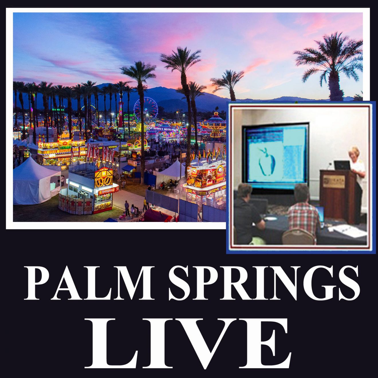 Palm Springs Live Part 1 Learn to Digitize