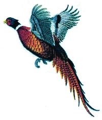 Pheasant