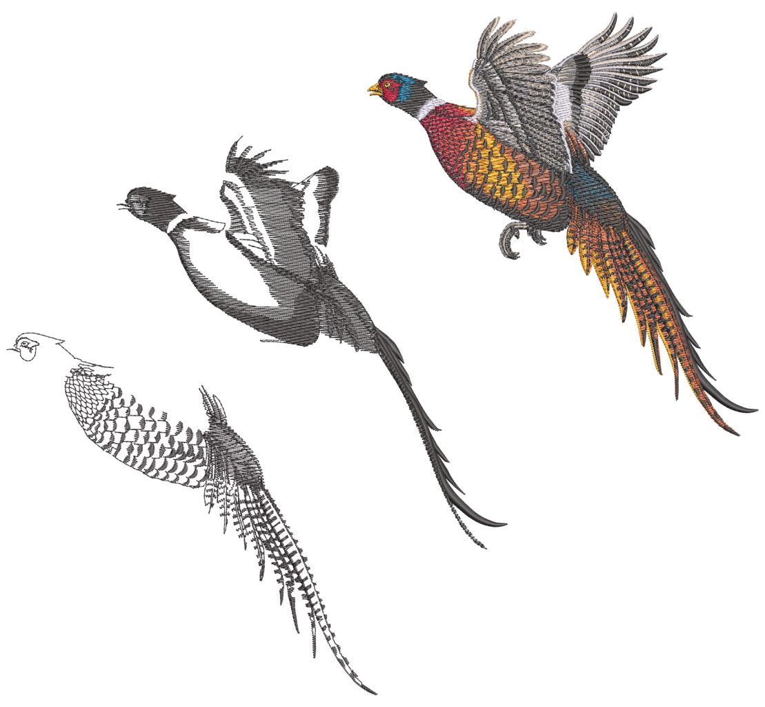 Homework #6 BT-9106 Copy