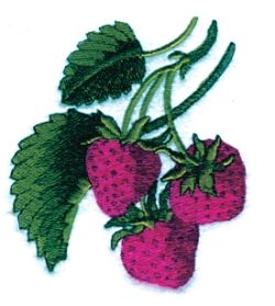 Fruit