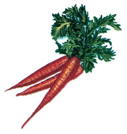 Vegetables & Herbs