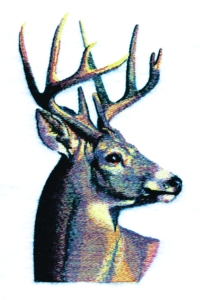 Wildlife