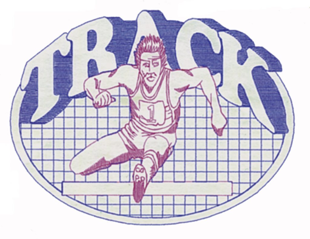 Track Quilt, Zipped - C Large