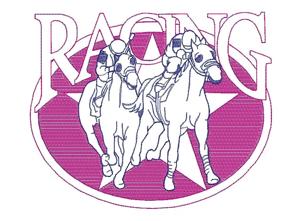 Horse Racing Star