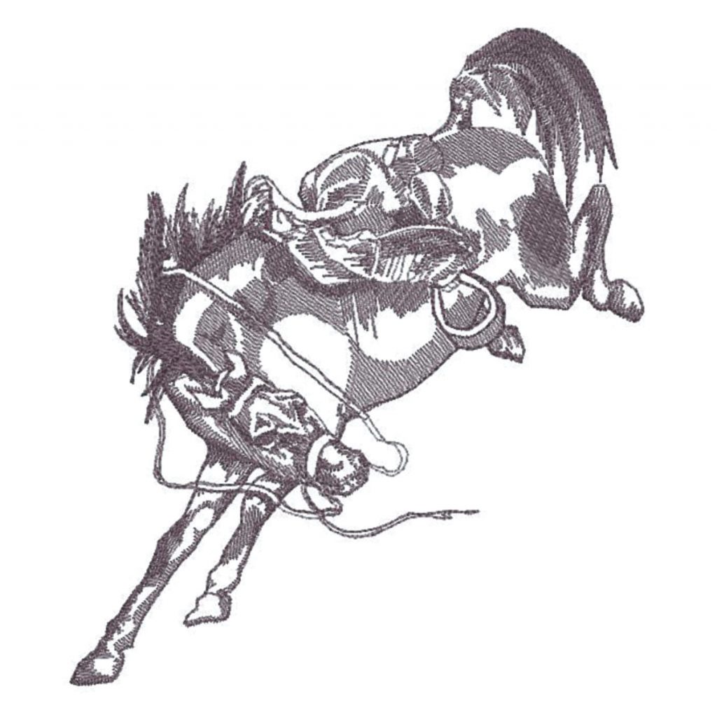 Bucking Bronc