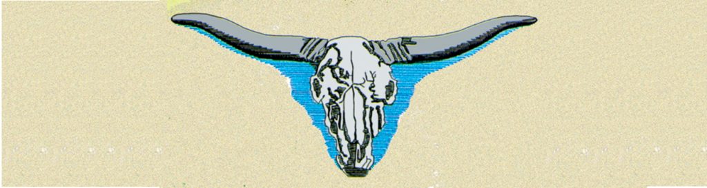 Steer Head