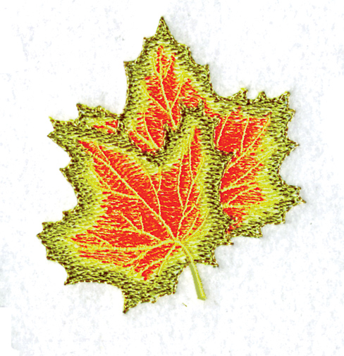 Maple Leaves - Learn to Digitize