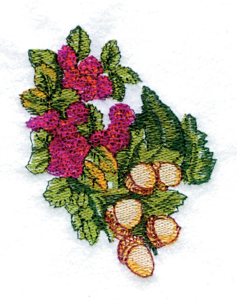 Fruit and Acorns