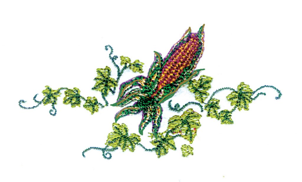 Corn / Ivy