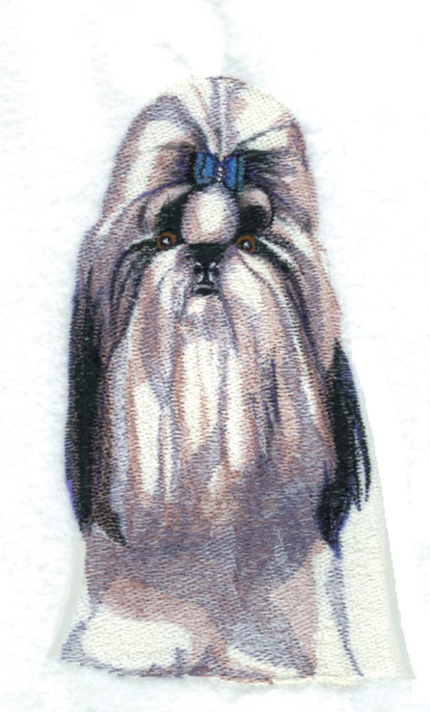 Shih Tzu