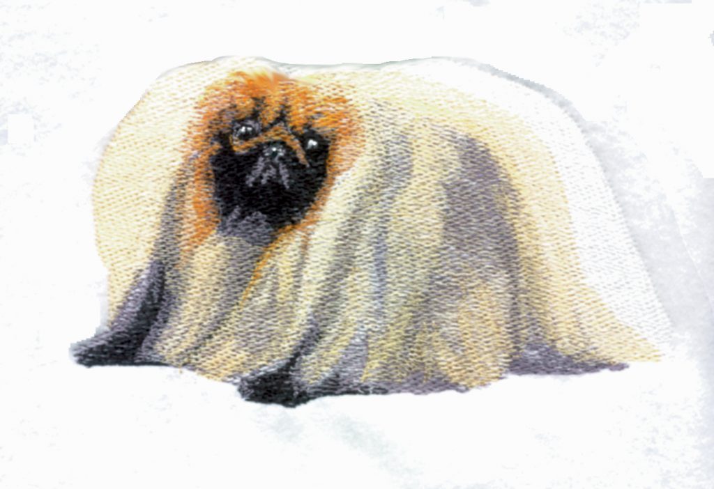 Pekingese