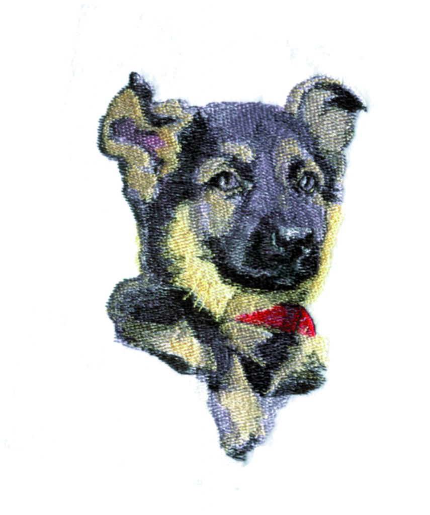 German Shepherd Puppy #1