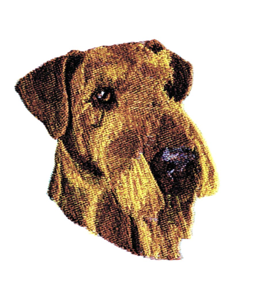 Airedale Terrier