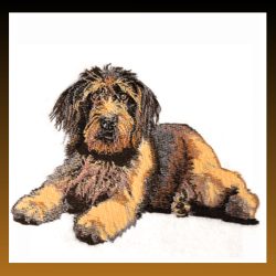 Labradoodle Full Body
