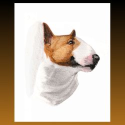 American Pit Bull Head