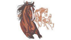 Running Arabian with Background