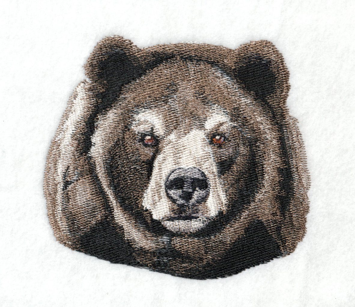 Kodiac Bear