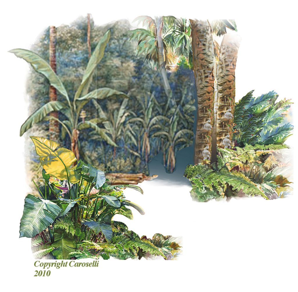 Tropical Forest