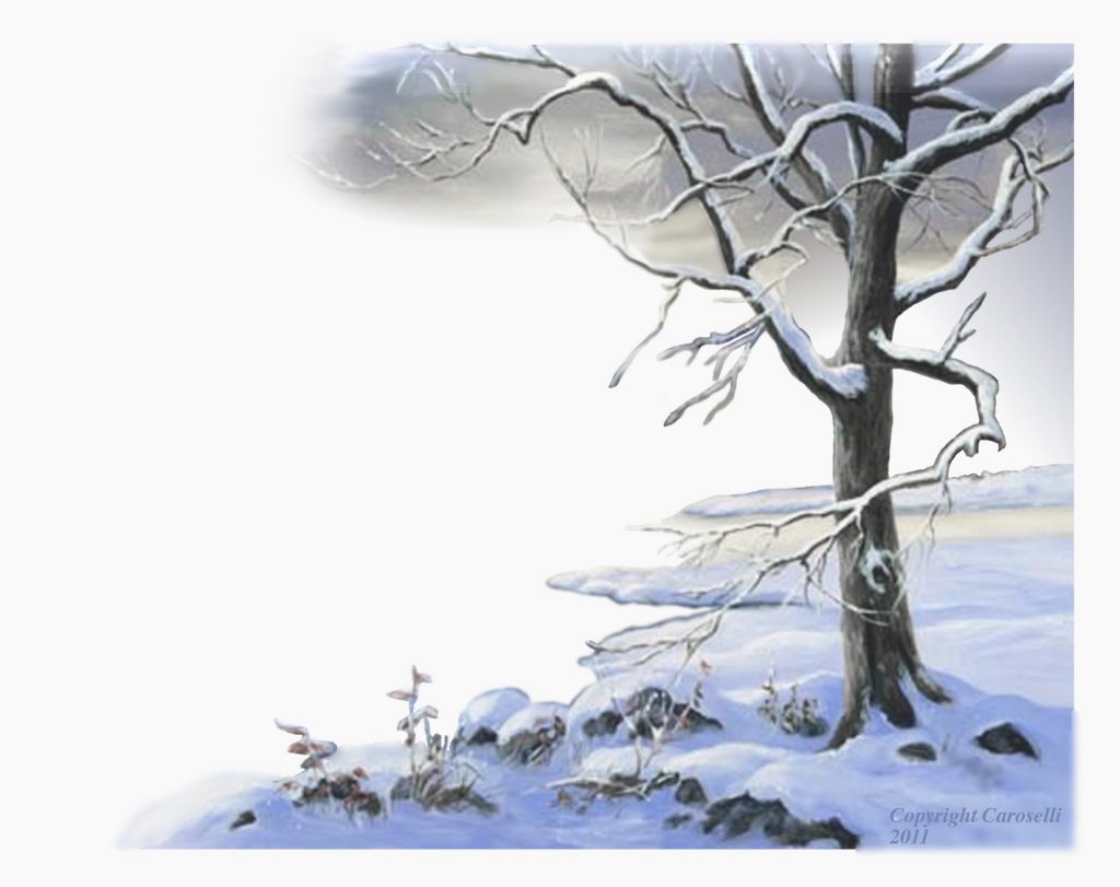 Winter Scape