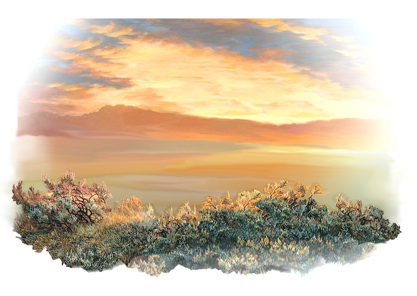 Sunset on the Planes