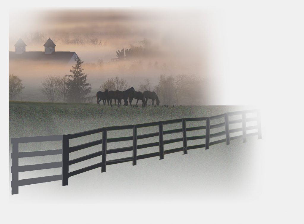 Horse Farm
