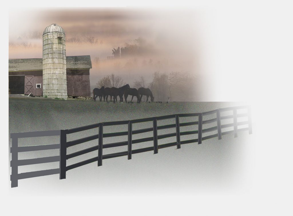 Horse Barn