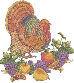 Large Thanksgiving Turkey